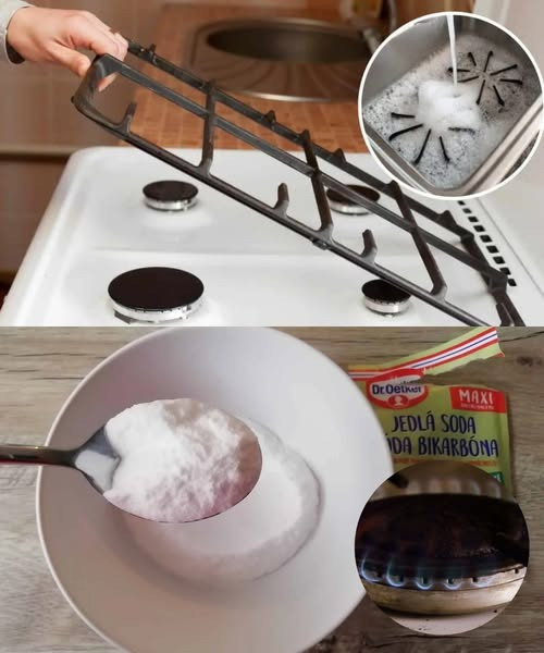 536286059 122263702910223641 453791977362853653 N