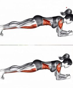 537084368 122211105734279931 4659120800550086842 N