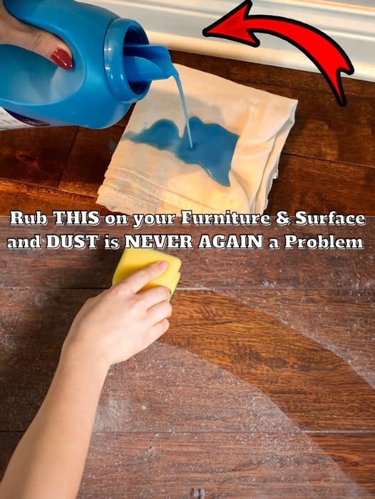 537198088 651664201284385 247109