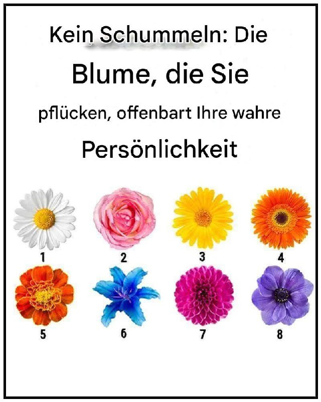 537373592 122211221342279931 7751572004239112991 N (1)