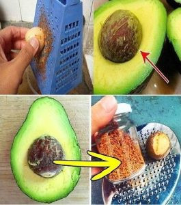 537378341 122210925620279931 8951529105229661809 N