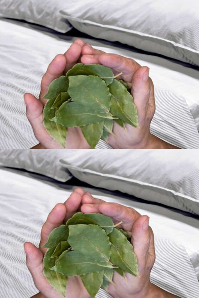 537510306 122211198944279931 5091919476756989293 N (1)