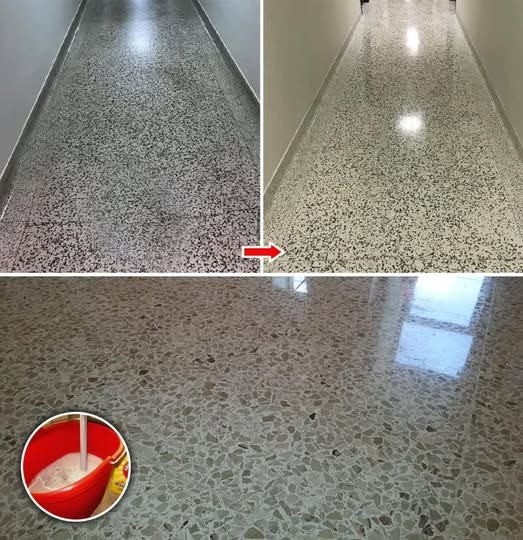 537561113 122263690436223641 7552321304453280835 N