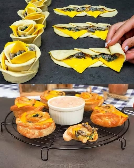 537596098 122263879724223641 670