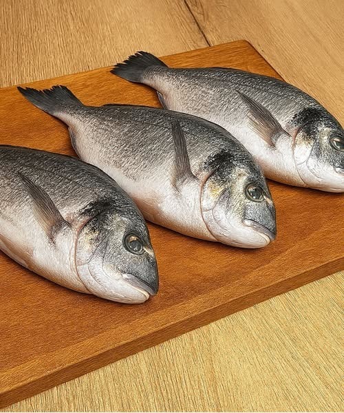 538137268 122263853876223641 666