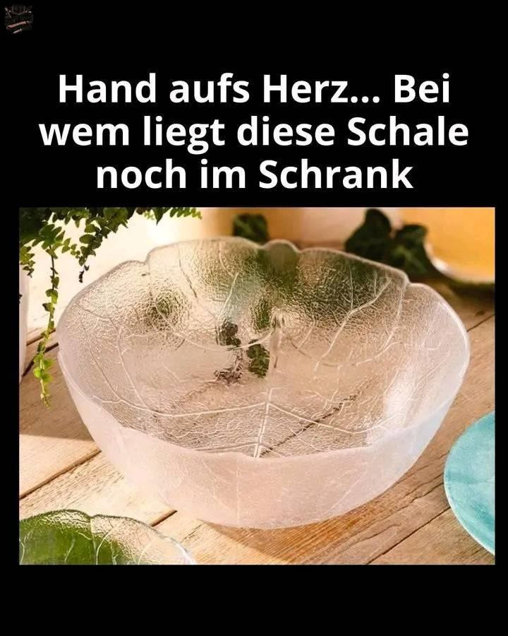 538893800 122211225764279931 7913652757507379477 N (1)