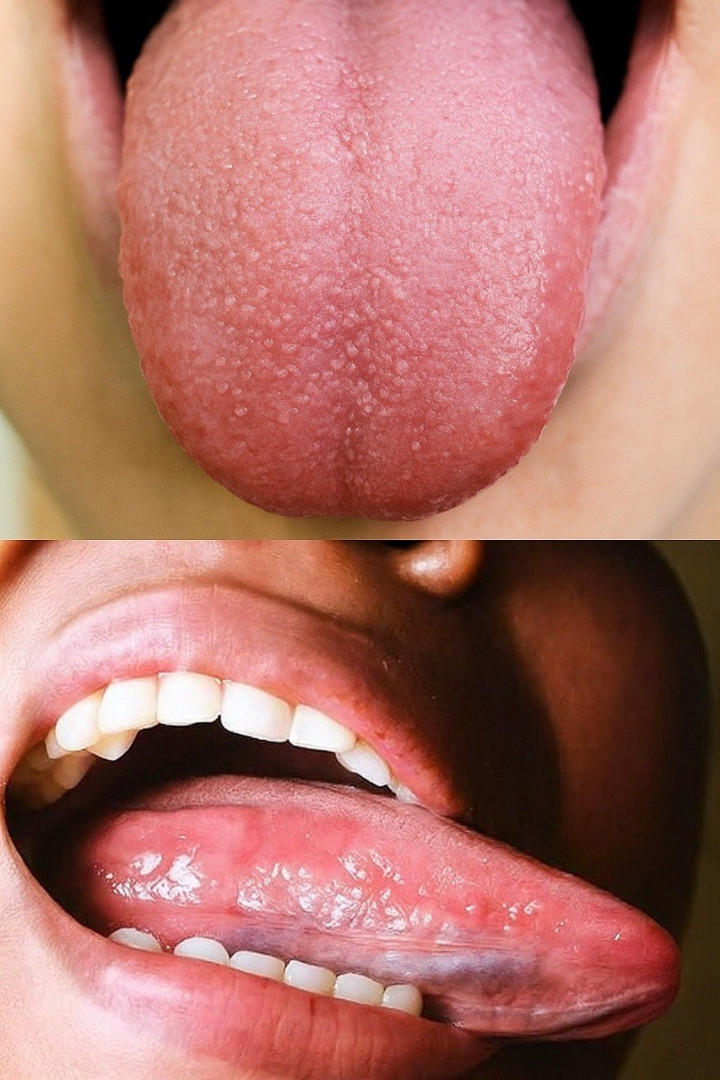 539089131 122211235892279931 6245308482110259186 N