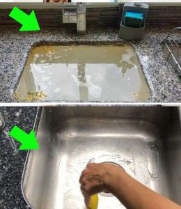 539359034 122211482042279931 8185612303649431007 N