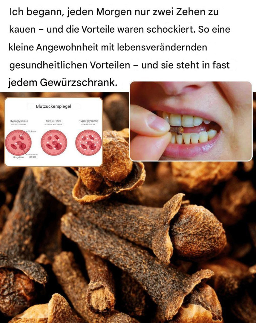 539943199 122211522920279931 4747129922415527114 N