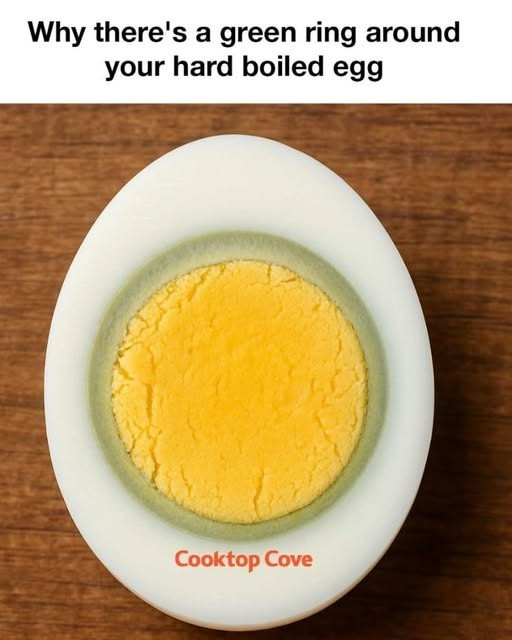 529613777 122261195546223641 7502485405247497483 N
