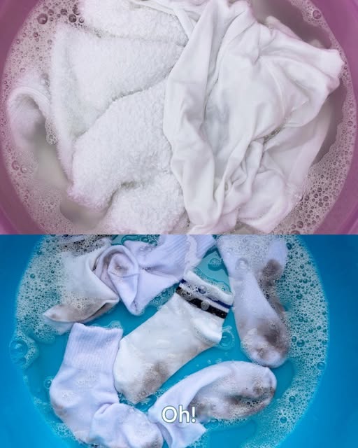 539833508 659664877150984 5009991679309972644 N