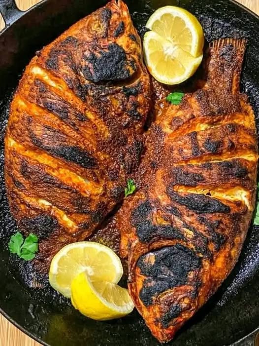 540143772 659692357148236 3771069120722476521 N