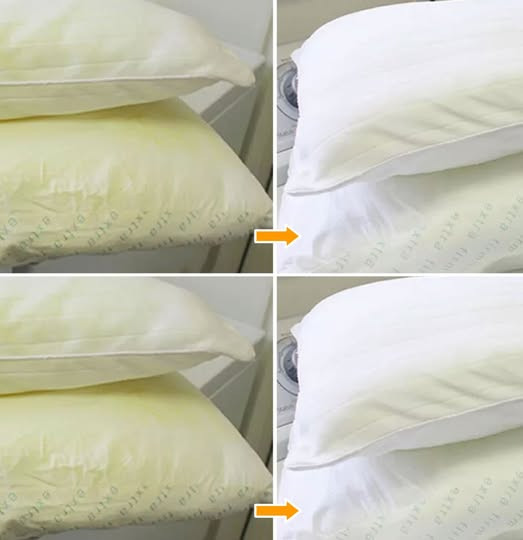 540692689 122212669766279931 733191170784250004 N