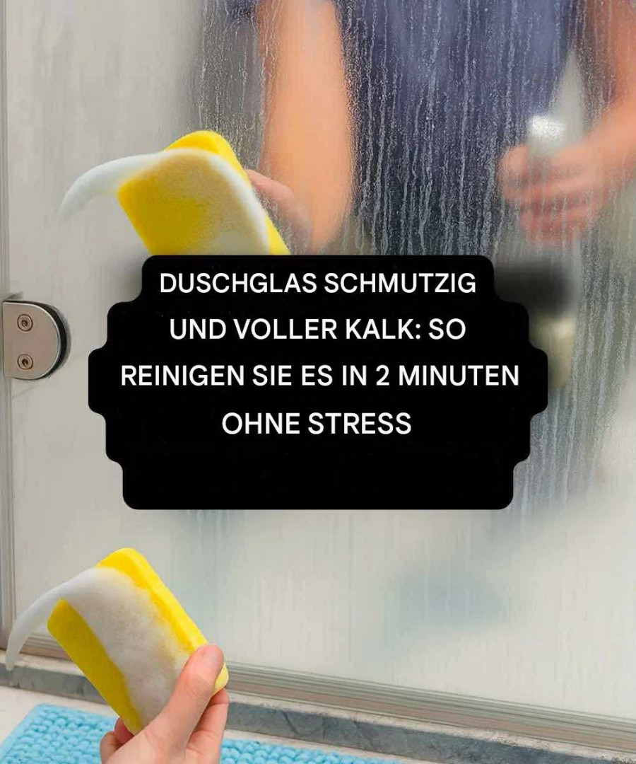 540745394 122212686074279931 7789998597239996737 N